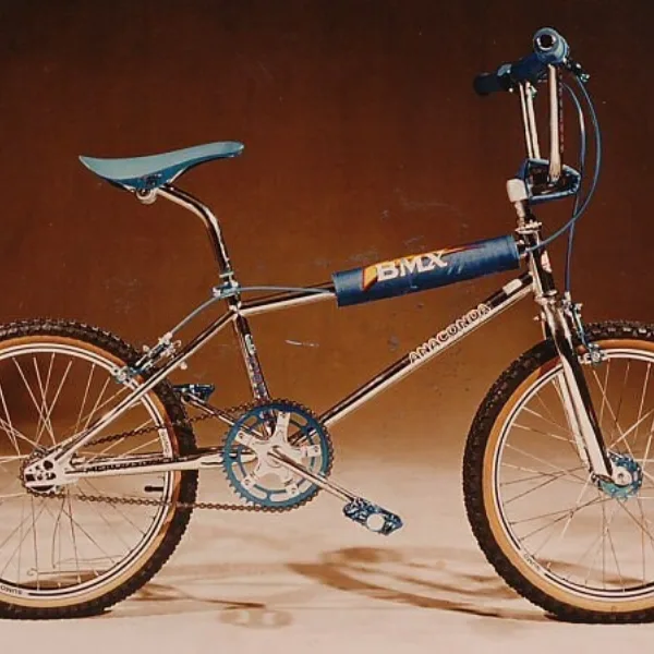 Das Anaconda war das erste reine Race-Rad von Schauff