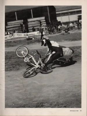 BMX Special 6/1983 Seite 33