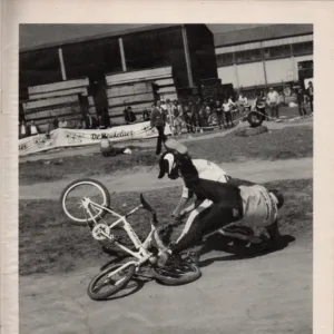 BMX Special 6/1983 - Seite 33