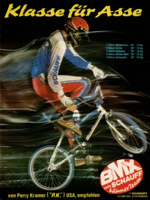 BMX Special 9/1983 Seite 29