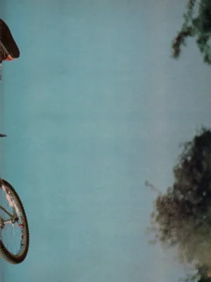 BMX Special 12/1983 Seite 25