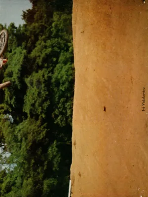 Aus BMX Special 3/1984 - Seite