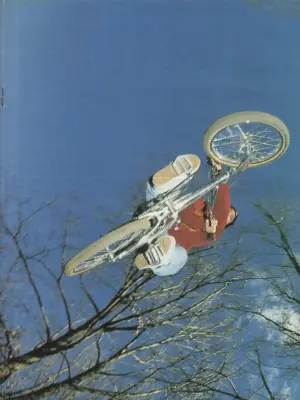 Freedombmx 20 Seite 34