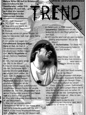 Laber 'Zine 13 / 1995 Seite 13