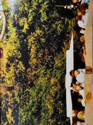 Speed 2/1985 Seite 49