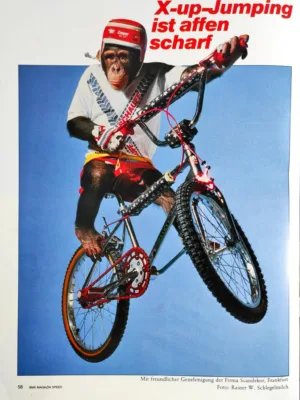 Speed 5/1985 Seite 58