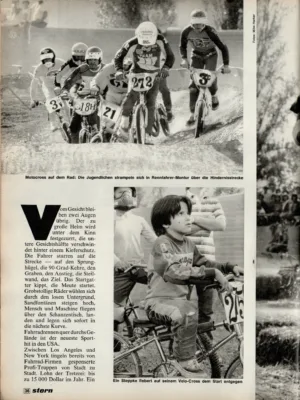 Stern 17 / 1981 Seite 4